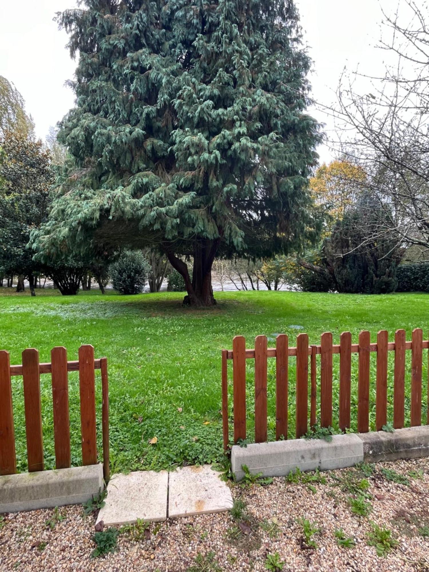 Logement Paisible En Bord De Vienne Bonneuil-Matours Exteriér fotografie